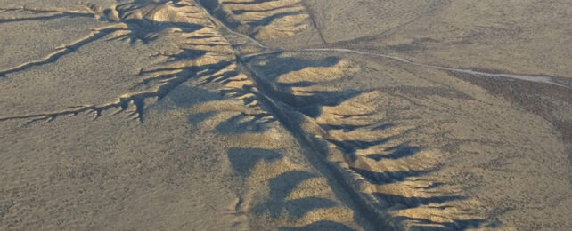 Tectonic plates