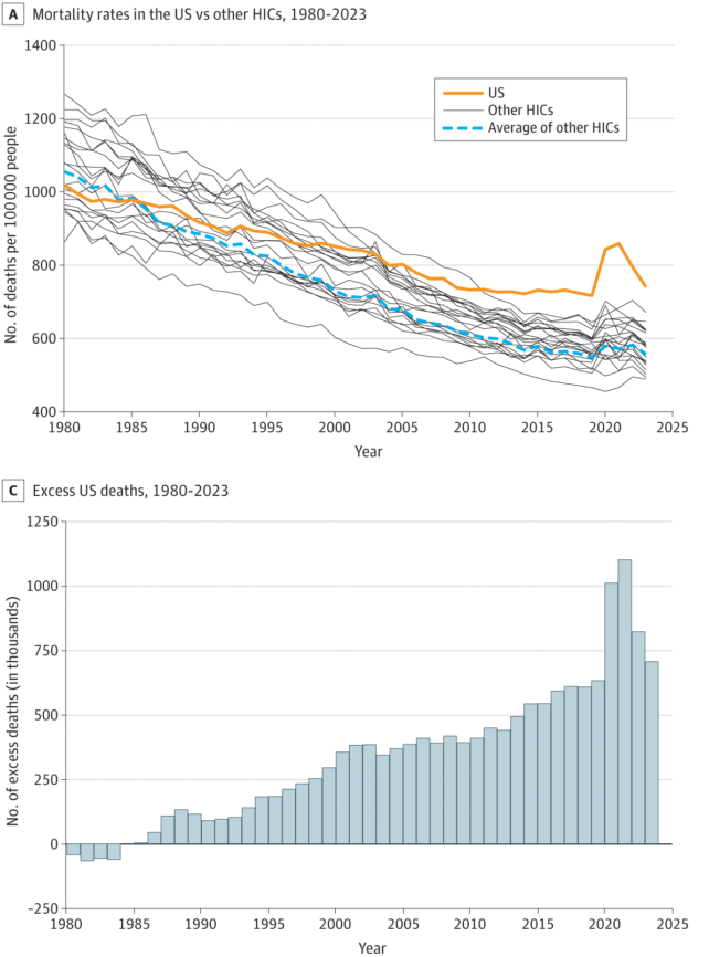 US Excess Deaths