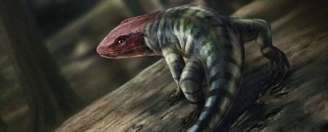 illustration of an ancient lizard