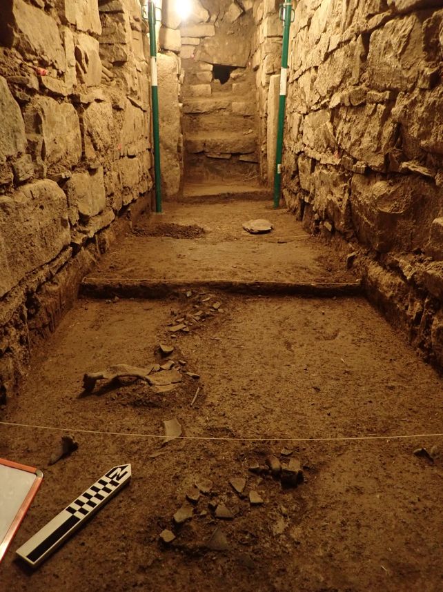 The Oldest Use of Known Psychedelics in The Andes Predates The Inca