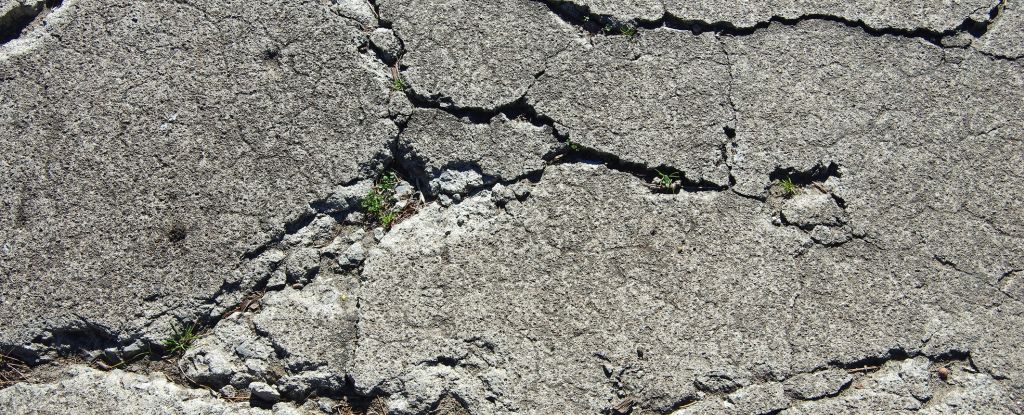 Scientists Developed a Kind of 'Living Concrete' That Heals Its Own Cracks