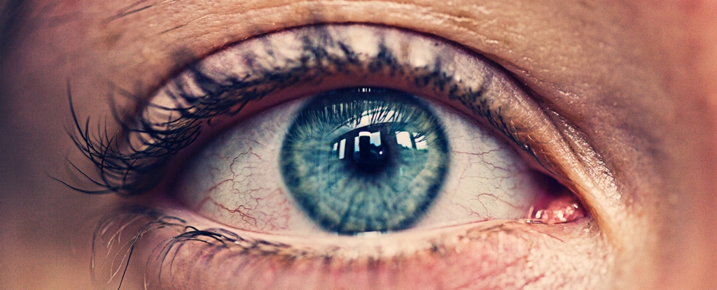 Climate Change Is Threatening Eye Health. Here's Why.