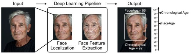 'FaceAge' AI Tool Can Predict Your Biological Age From a Selfie