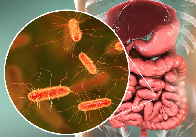 graphic of a microbiome in a digestive system