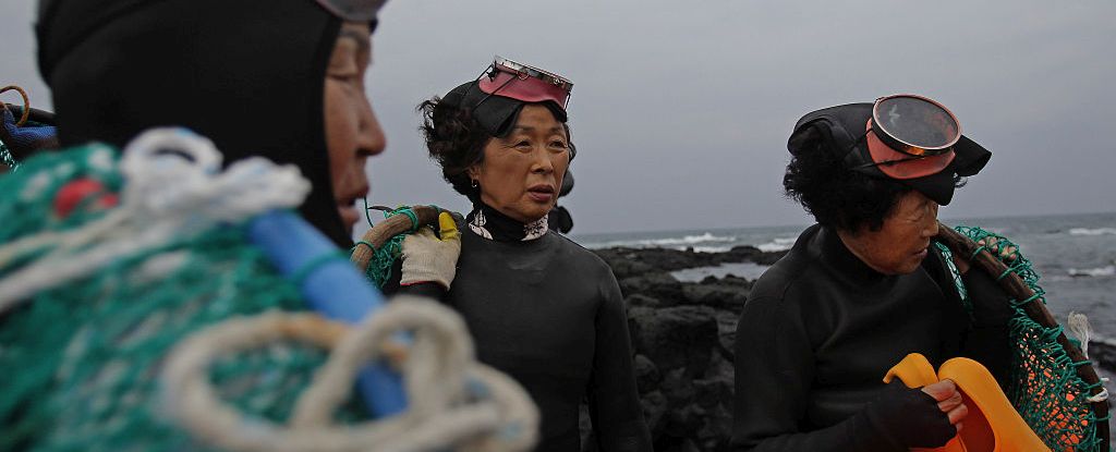 Legendary Female Free-Divers Reveal Evolution in Action on South Korean Island