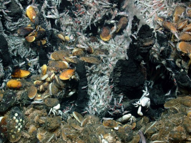 Scientists Have Recreated The Deep-Sea Chemical 'Gardens' That May Have Given Rise to Life