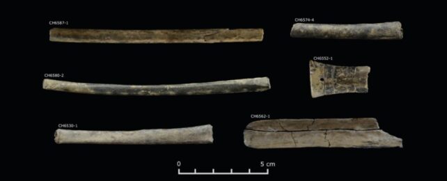 The Oldest Evidence of Psychedelics in The Andes Predates The Inca