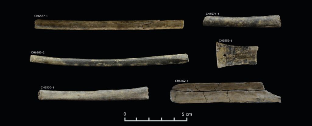 The Oldest Evidence of Psychedelics in The Andes Predates The Inca