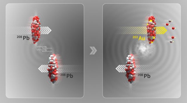 Lead Literally Turning Into Gold in The Large Hadron Collider