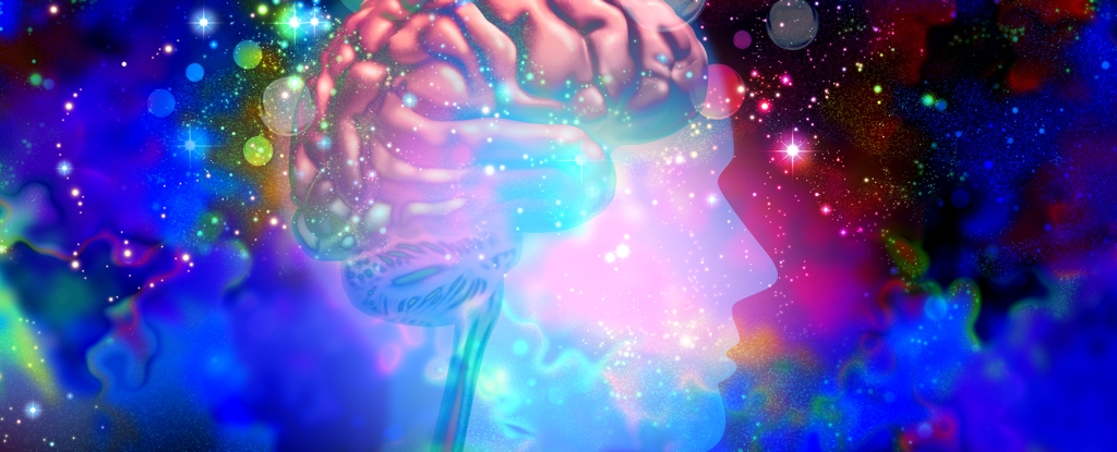 Psychedelics Could 'Rewire' The Brain to Reduce Alcohol Consumption