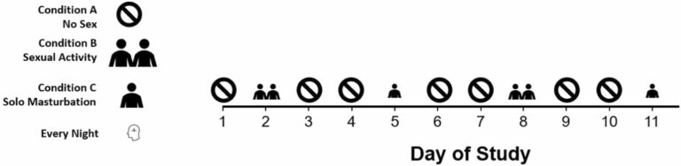 Sex Study 768x188