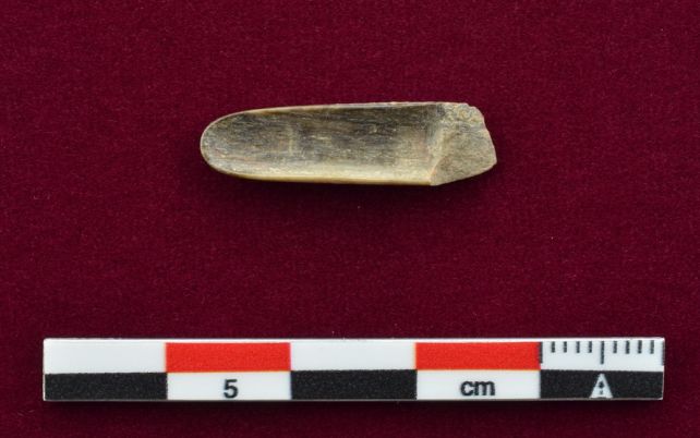 The Oldest Use of Known Psychedelics in The Andes Predates The Inca