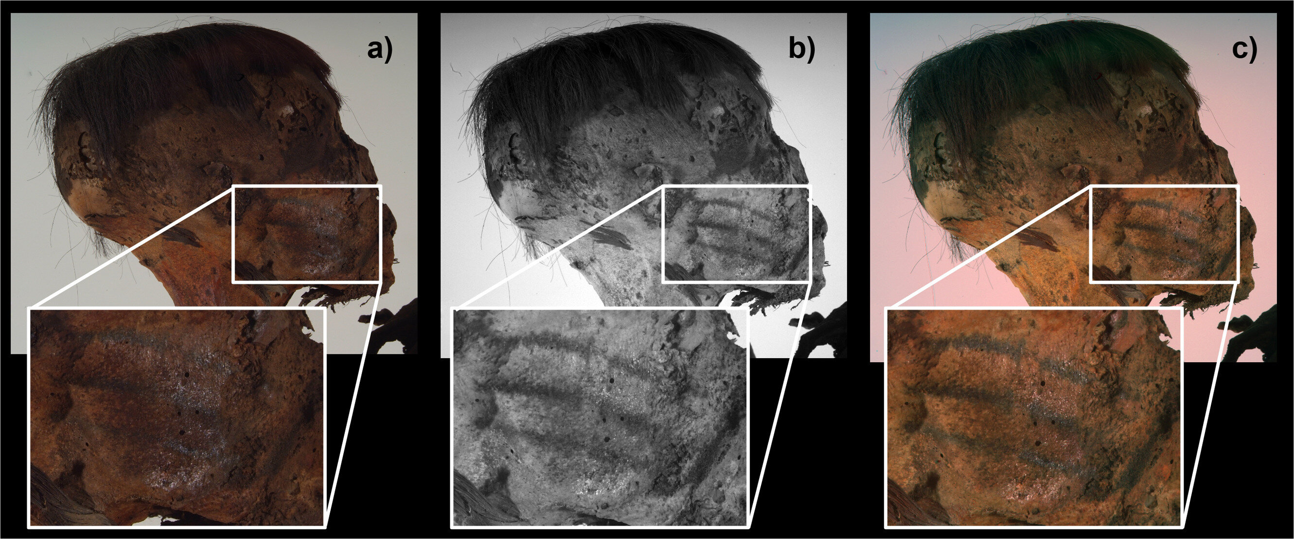 three pictures side-by-side of the same profile photo of the mummy's face, with different colour processing. the mummy has short brown hair, darkened and hardened skin, and three black lines on her cheek.