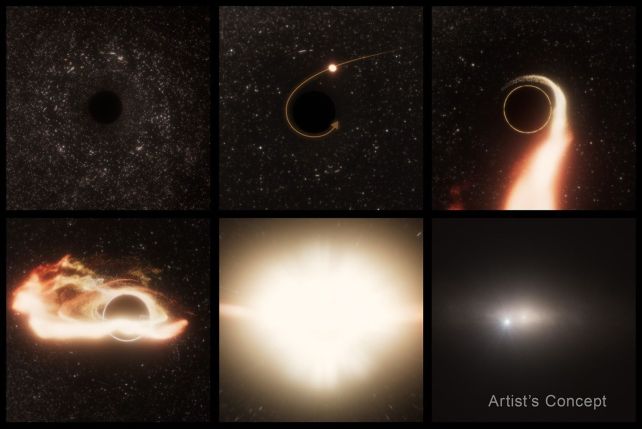 A Hidden Supermassive Black Hollow Has Simply Published Itself in Deep Area