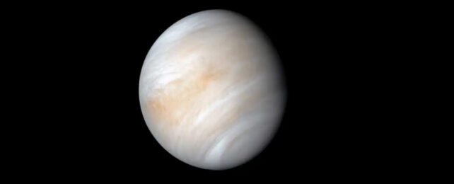 venus