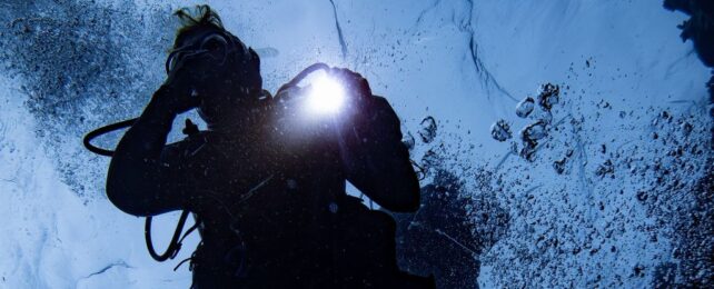 The Ocean Is Getting Darker, Threatening All That Lives Within