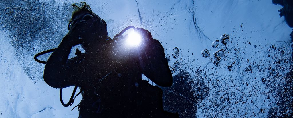 The Ocean Is Getting Darker, Threatening All That Lives Within