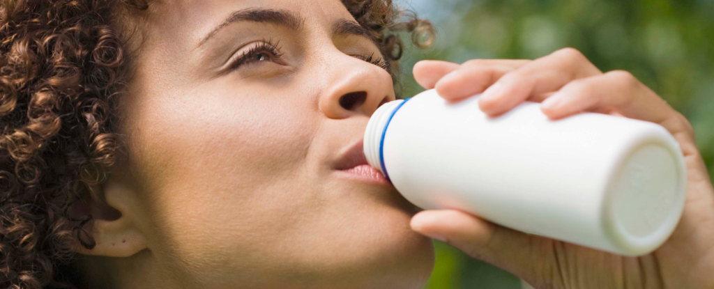 Probiotics vs Prebiotics: What's The Difference And Do You Need Both?