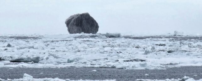 A black iceberg among small chunks of ice at sea