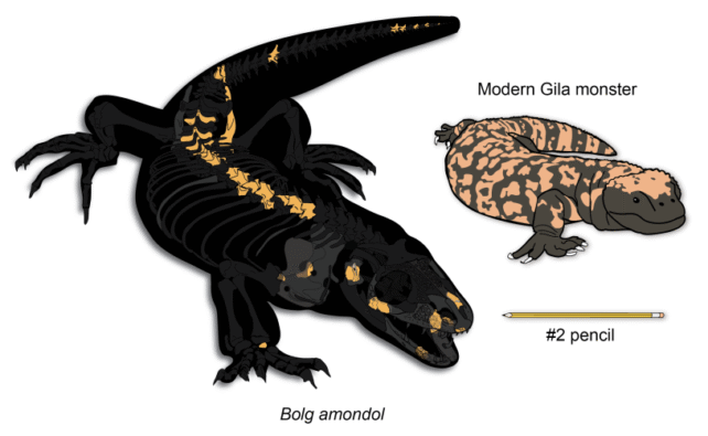 Paleontologists Discover "Goblin Prince" Monstersaur That Roamed With Dinosaurs