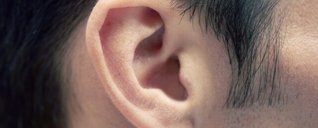 Close up of an ear