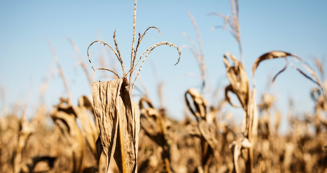 Earth's Atmosphere Is Getting Thirstier, And It's Making Droughts Worse