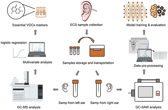Study Shows It May Be Possible to Screen For Parkinson's Through Your Ear Wax