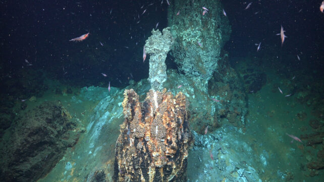 a rocky hydrothermal vent in the center of the image is encrusted with orange barnacles