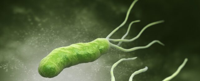 A green illustration of a bacteria