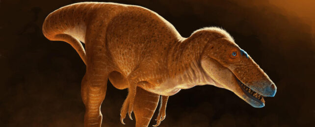 New Tyrannosaur Species Could Be a Missing Link to The Giants
