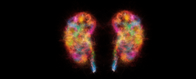 Parkinson's Disease Might Not Start in The Brain, Study Finds