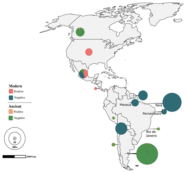 Leprosy May Have Existed in The Americas Long Before Colonization Introduced It