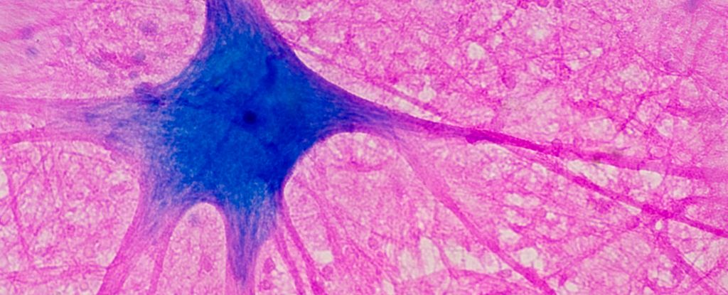 Can This Blue Chemical Really Boost Your Brain? Here's What We Know.