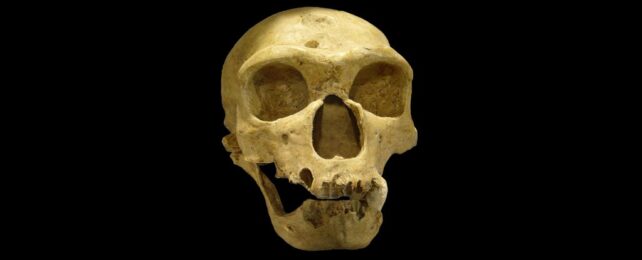 What Really Killed The Neanderthals? A Space Physicist Has a Radical Idea