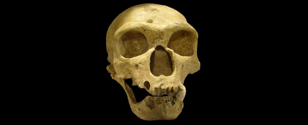 What Really Killed The Neanderthals? A Space Physicist Has a Radical Idea - ScienceAlert