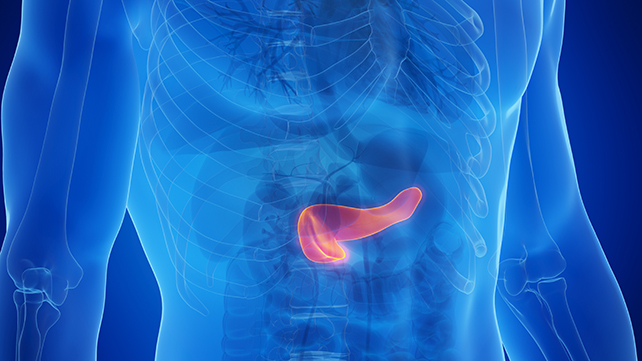 New Weight-Loss Medicine Below Scrutiny Amid Pancreas Considerations