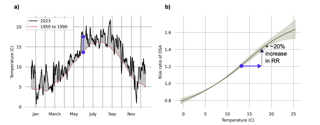 two line graphs show an Example of methodological calculation of the warming-related increasein obstructive sleep apnea (OSA) prevalence for the UK. increase in temperature correlates to increase in risk ratio of OSA, and temperatures have been much higher in 2023 than 1950-1990s average.