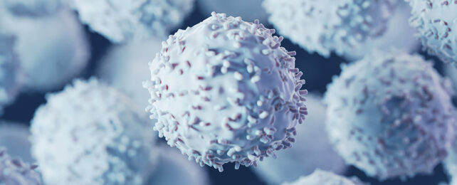 T cell illustration