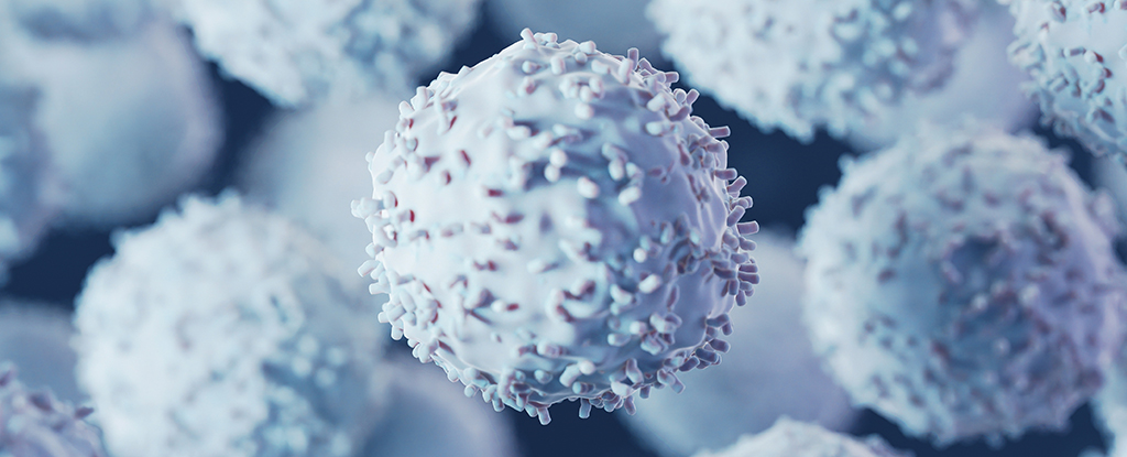 Experimental Drug Helped Cancer Patients Live 40% Longer in Clinical Trial