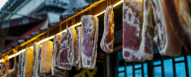 Preserved meat