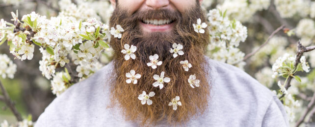 Just How Dirty Are Beards? Here's The Science.