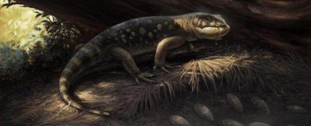 Scientists Discover 'Goblin Prince' That Roamed With Dinosaurs