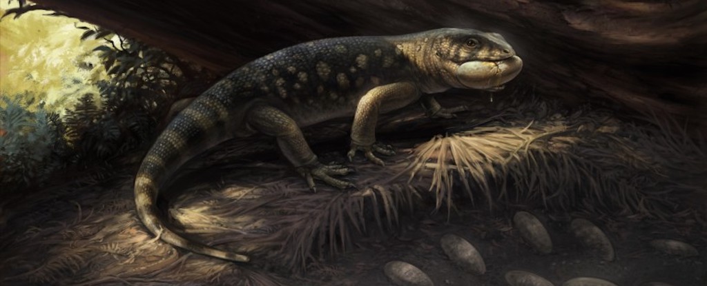 Scientists Discover 'Goblin Prince' That Roamed With Dinosaurs - sciencealert.com