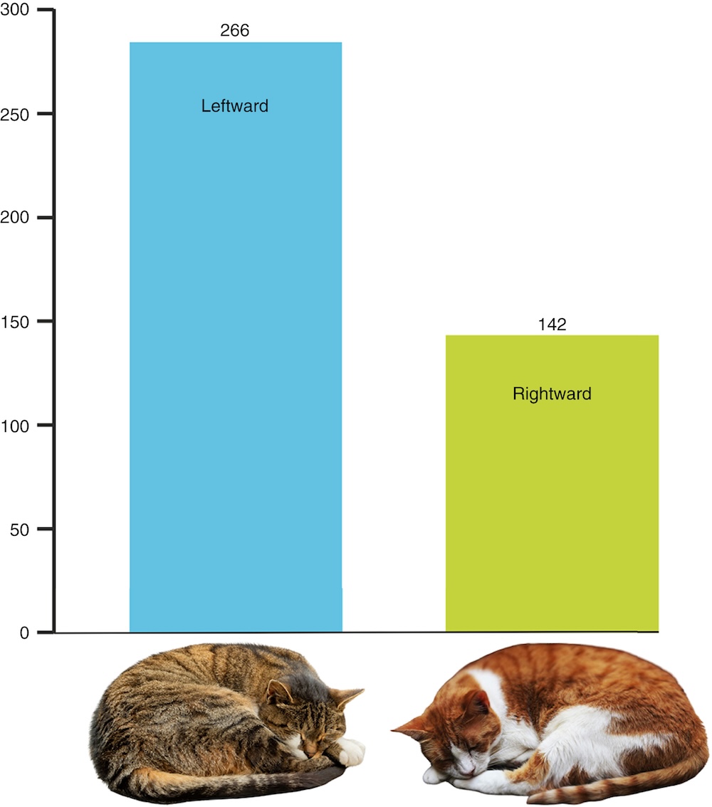 a bar graph showing that 266 cats had leftward preference, while 142 had rightward preference.