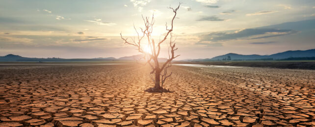 Our Atmosphere's Growing Thirst Is a Hidden Cause of Worsening Droughts