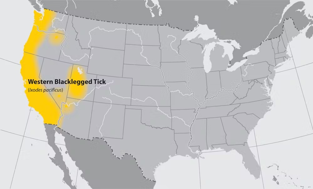 map of USA showing western blacklegged tick range, covering most of california and the west coast, and most of utah