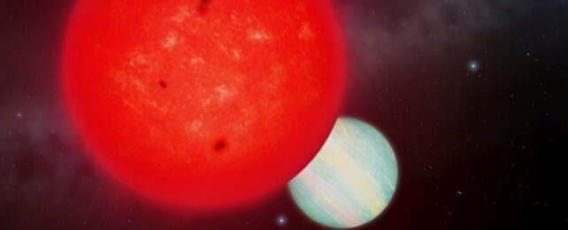 A Super-Tiny Star Gave Birth to a Giant Planet And We Don't Know How