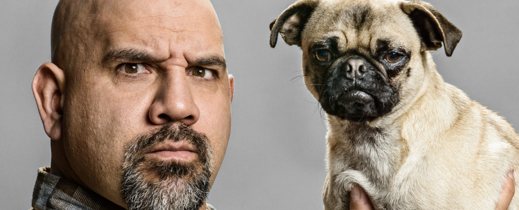 People Really Do Tend to Look Like Their Dogs : ScienceAlert