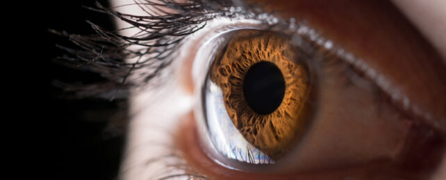 eye pupil