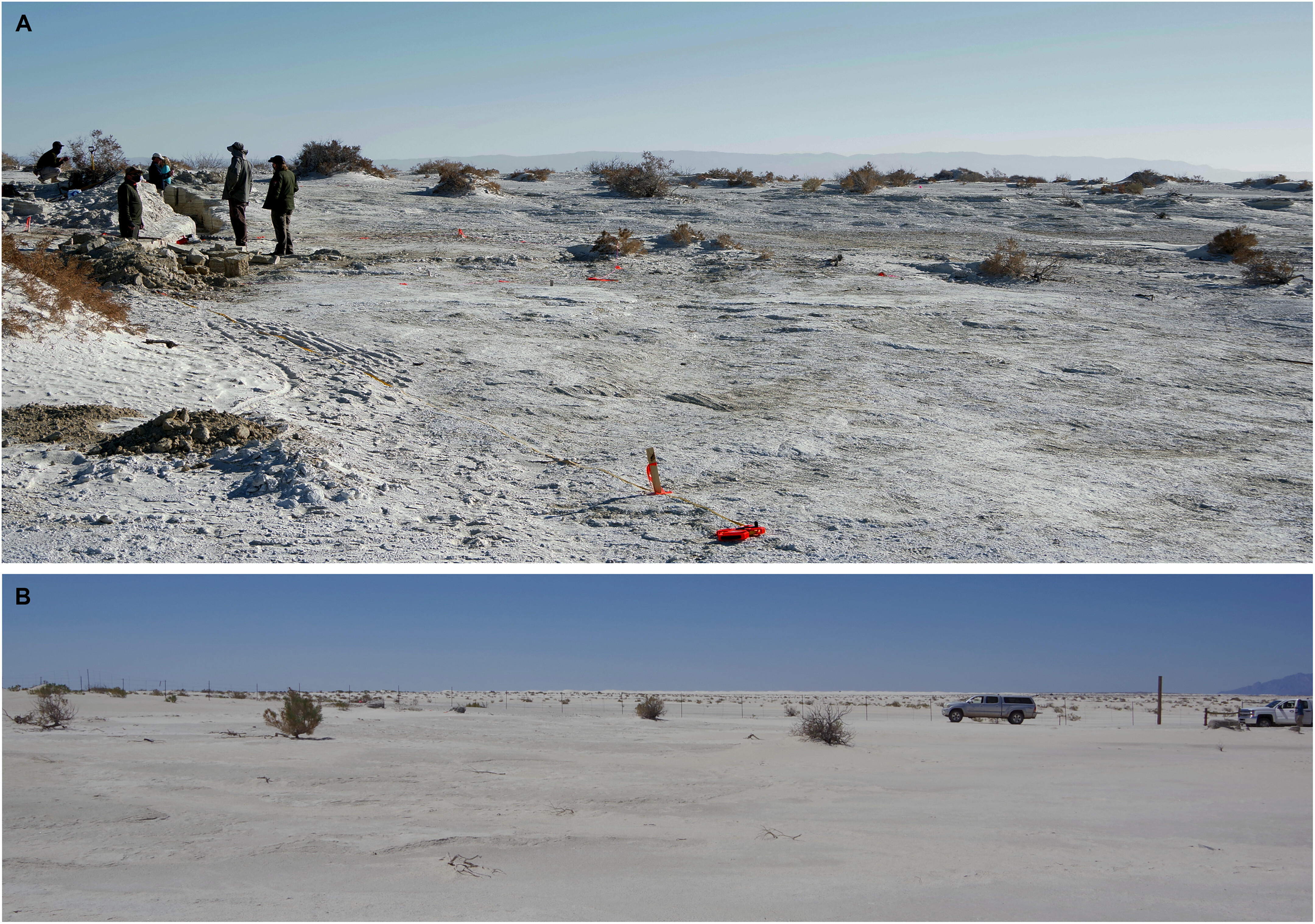 photos of the excavation site, which is a vast desert-like landscape with fine white sand and clear blue skies overhead, almost no vegetation. some researchers stand in the left, markers are scattered around, and in the second image, a 4WD is visible in the distance.